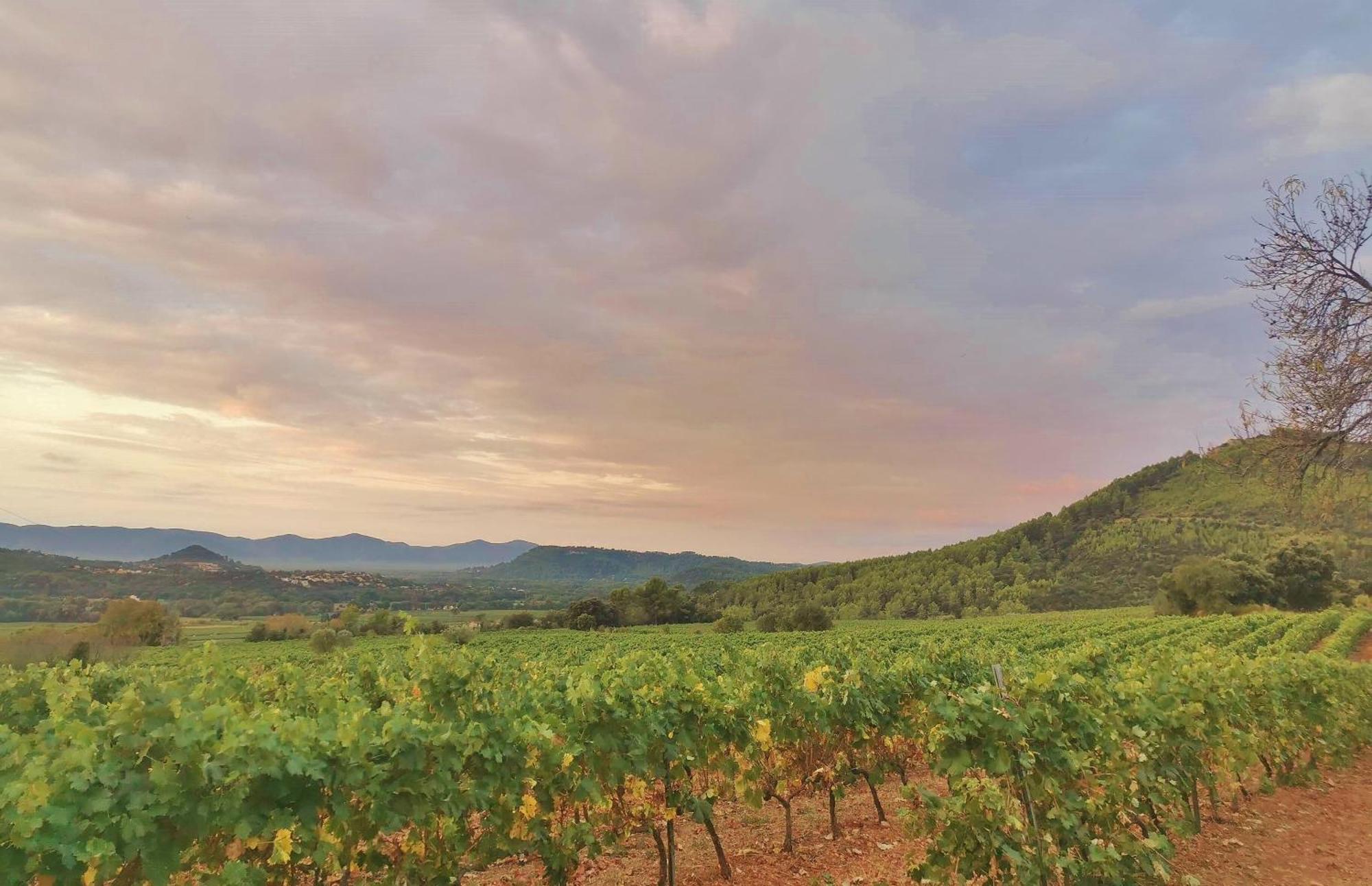 Le Nid En Chante Vue Panoramique Les Arcs-sur-Argens Εξωτερικό φωτογραφία