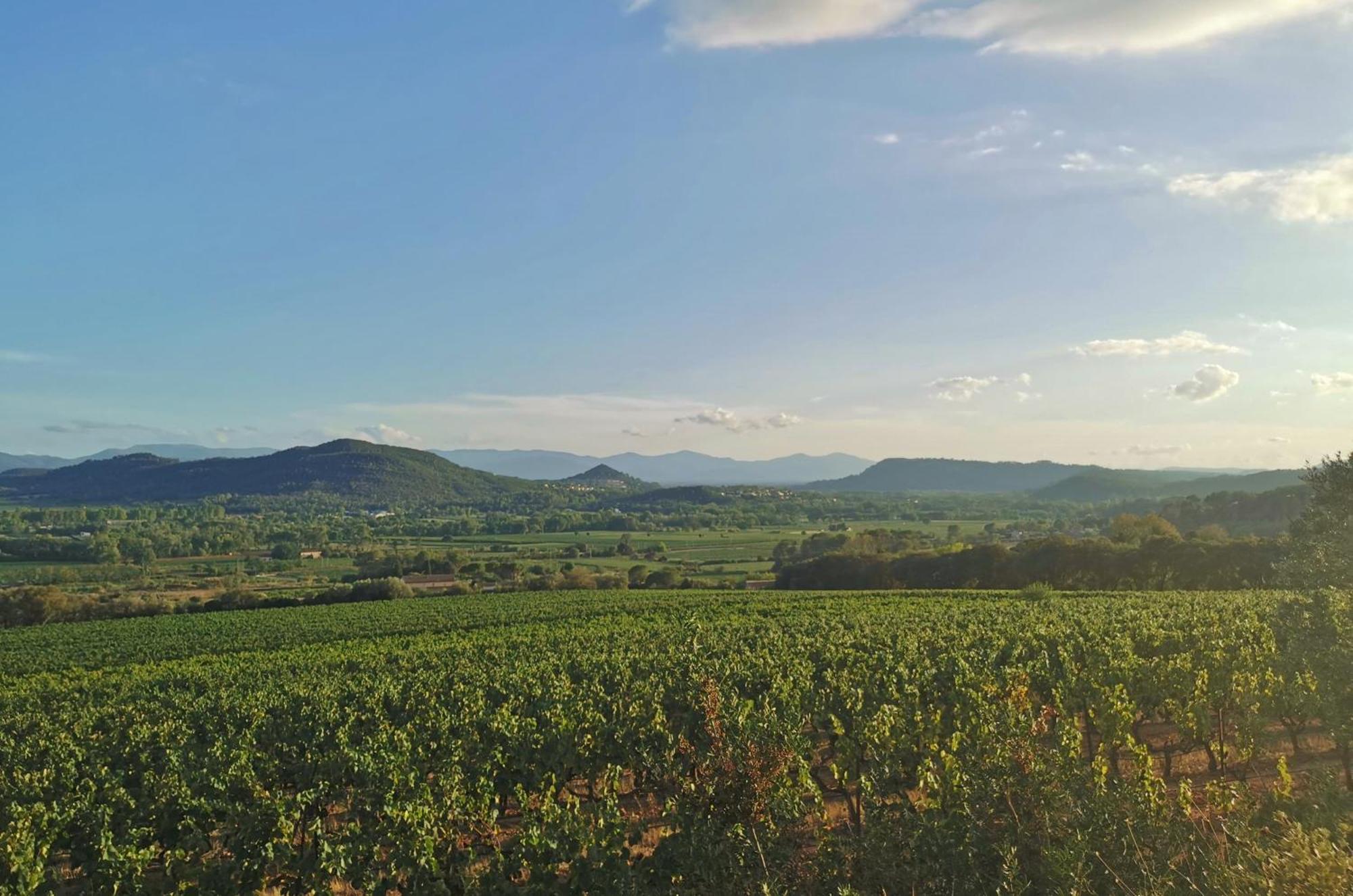 Le Nid En Chante Vue Panoramique Les Arcs-sur-Argens Εξωτερικό φωτογραφία